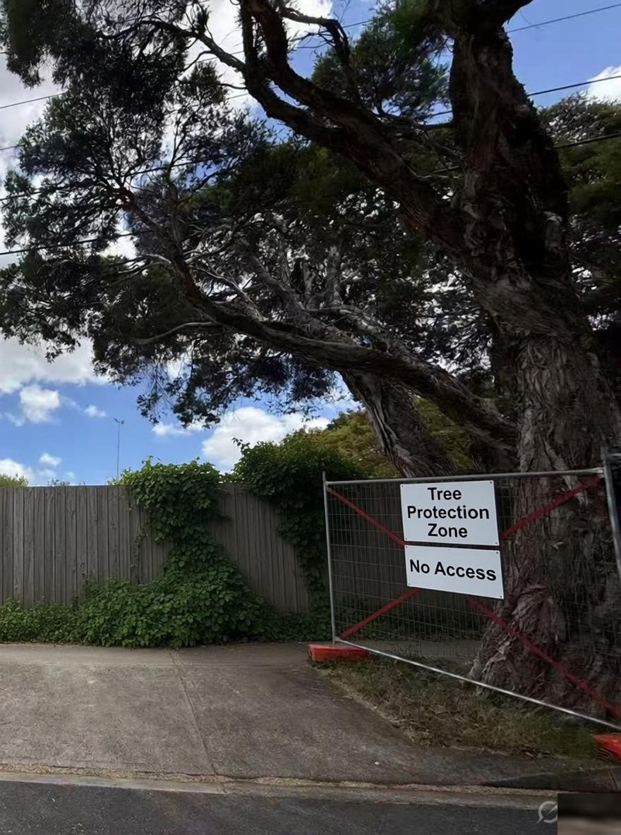 Tree protection zone fencing on a construction site