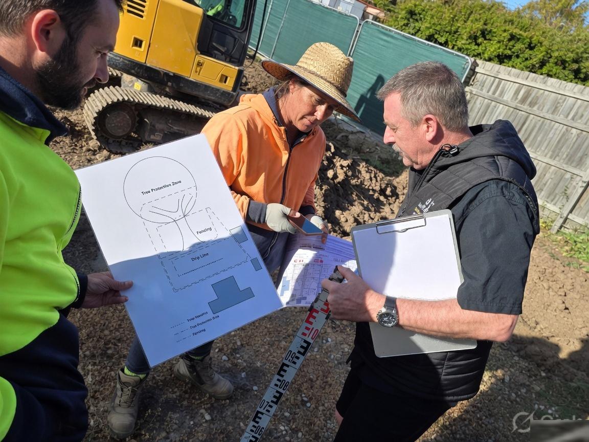On-site review of tree protection with the build team