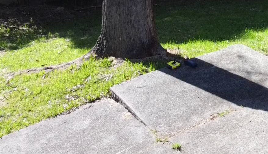 Root damage at a path edge